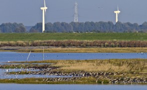 Foto: Jan van de Kam