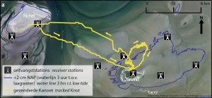Figuur_1_TOA_waarneming_kanoet_westelijke_waddenzee_gemaakt_door_allert_bijleveld