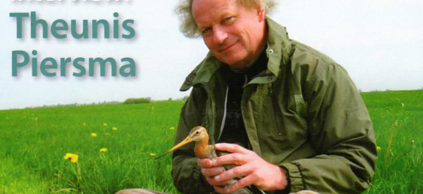 WorldBirdwatch_2013_foto_Theunis_Piersma